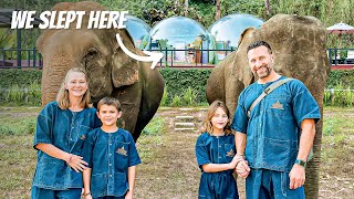 Sleeping with 🇹🇭 elephants in a JUNGLE BUBBLE in the Golden Triangle, Chiang Rai, Thailand