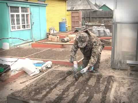 Во саду ли, в огороде  10.05