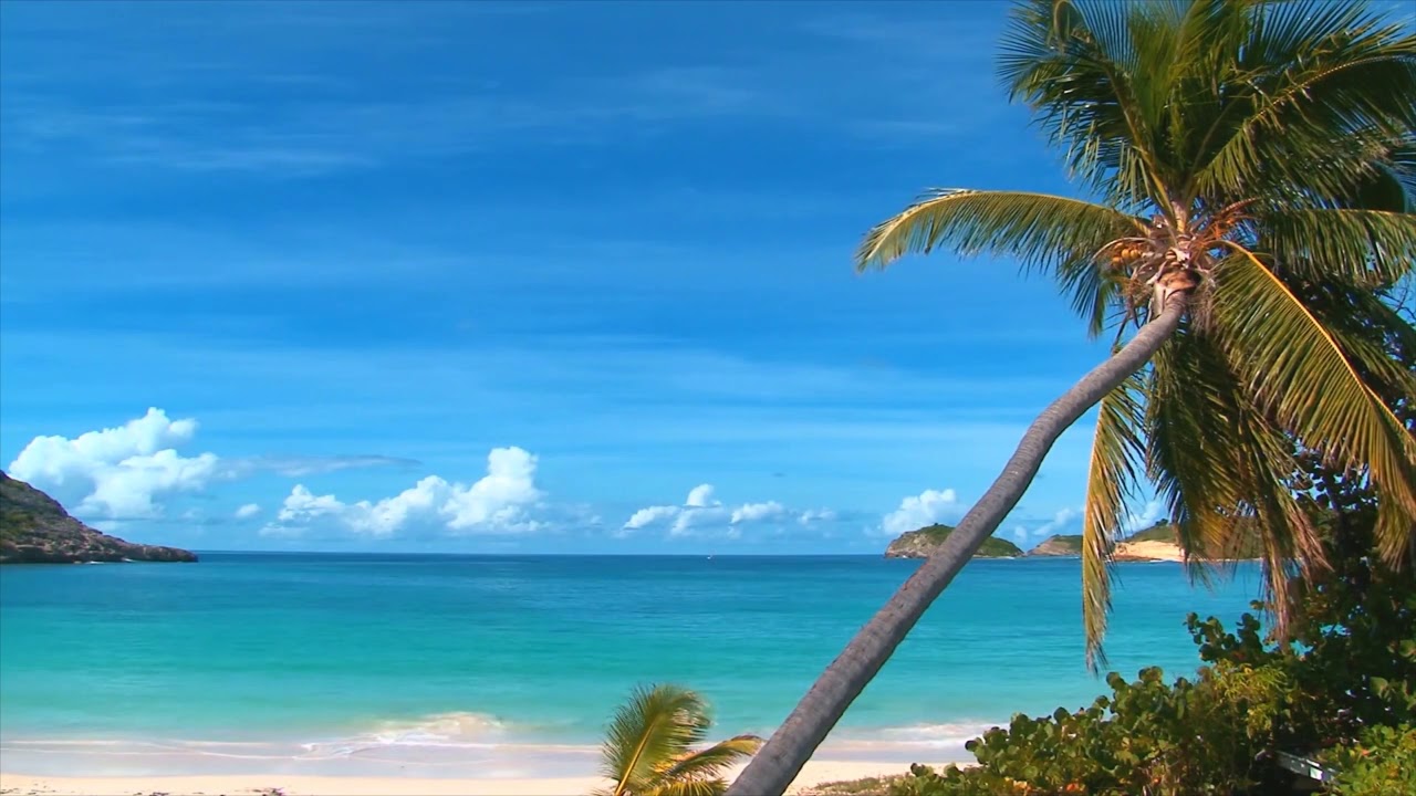 Most Relaxing Ocean waves On Tropical Island Ambience Sound, Paradise