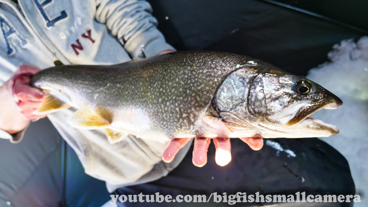March 22 2015 Lake Trout Ice Fishing YouTube
