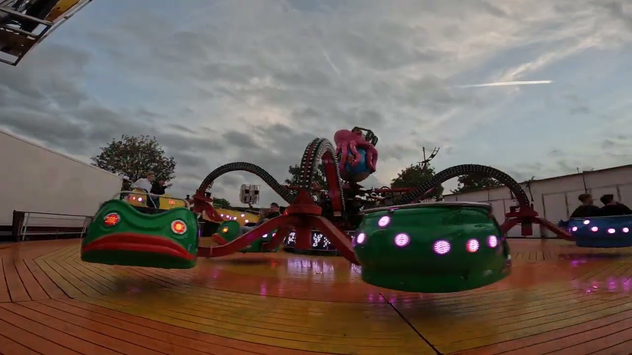 Swinging Polyp - D'Hooghe Aalter