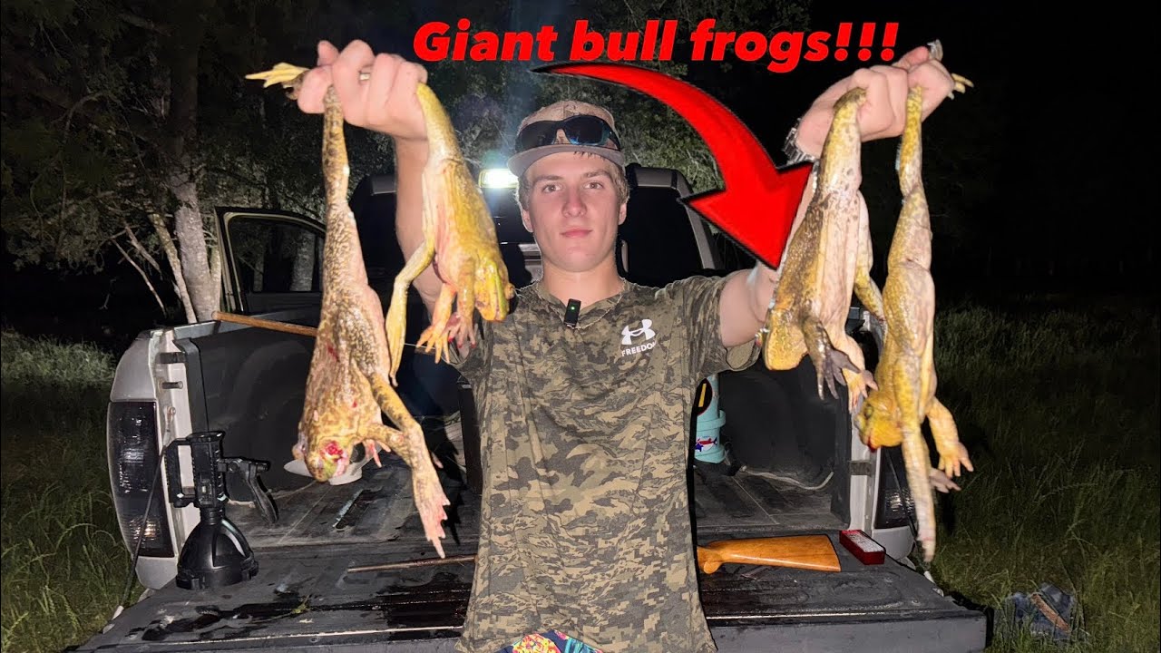 HUNTING GIANT BULLFROGS in overgrown pond (CATCH CLEAN COOK)!!! - YouTube
