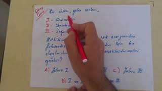 Fotosentez 1 Ercan Hoca