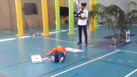 Computer Vision and Aerial Robotics group (IMAV17)