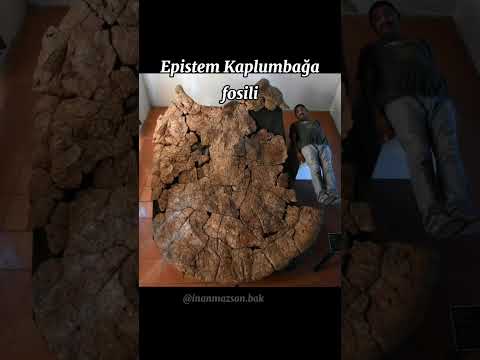 Düşündüğünüzden Daha Büyük
