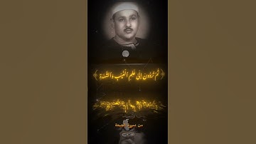 قل إن الموت الذي تفرون منه فإنه ملاقيكم #القرآن #اكسبلور #تلاوة_خاشعة #محمود_علي_البنا #تيك_توك