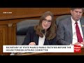 McBride Asks Rubio: 'I Assume You're Aware That Greenland Is Indeed Part Of Denmark...?'