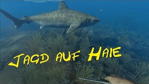 Stranded Deep #02 - Jagd auf Haie | Gameplay | Let