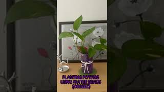 PLANTING POTHOS USING WATER BEADS (ORBEEZ) I ALTERNATIVE TO SOIL AND WATER I SG VLOG 0004