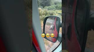 Cette chose me réveille dans mon fourgon en Ecosse