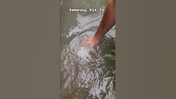 Samsung S24 Fe Water Proof Test. #samsung #s24fe #phone #test #shortvideo #viralshorts