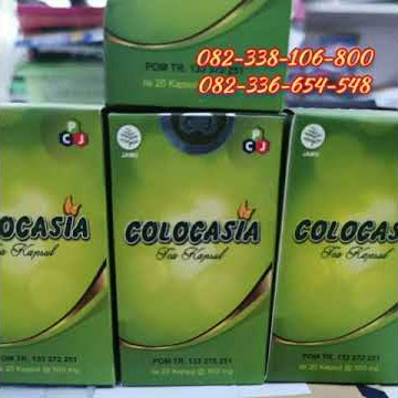 Review Colocasia kapsul || Harga colocasia asli 082338106800