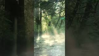 Join me by the stream if you're interested in hearing stories on strange phenomena, the unexplained.