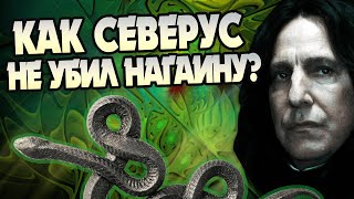 Почему Северус Снейп не уничтожил Нагайну?