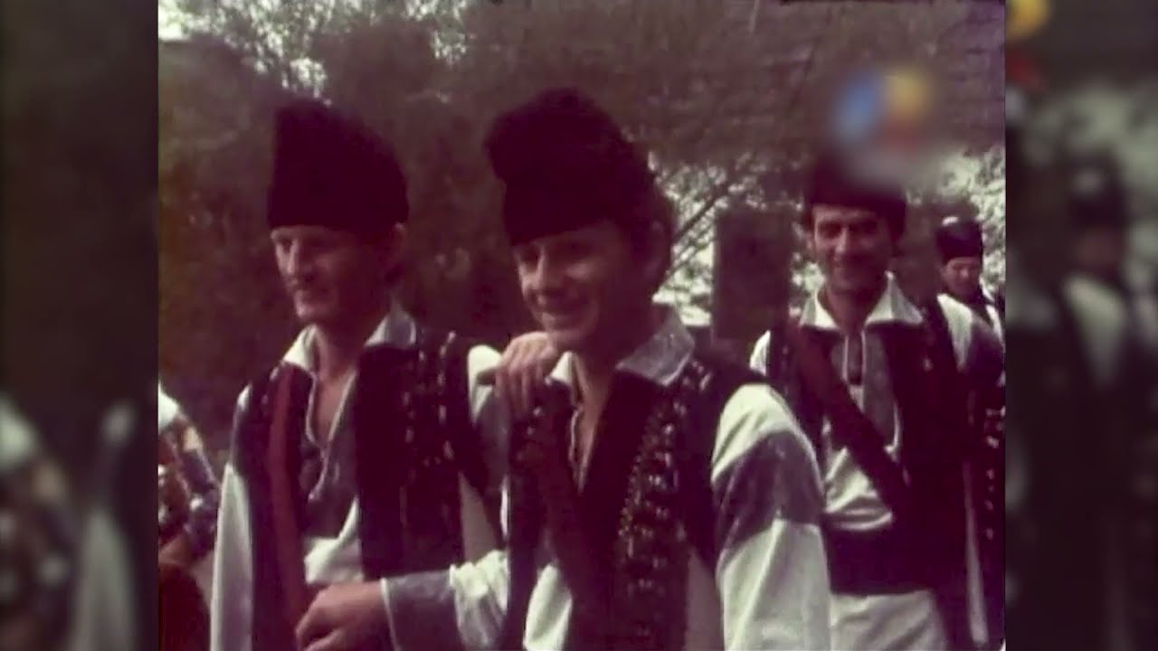 Alexandru Havriliuc - Ahiva TVR