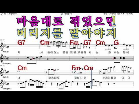 꽃한송이 이미자 가수처럼 엠알로 노래하기  남자 키  Cm