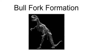 Bull Fork Formation