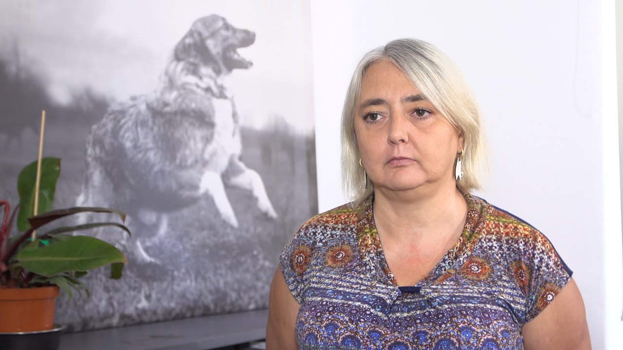 Fundacja Viva!: System schronisk dla zwierząt wymaga zmian