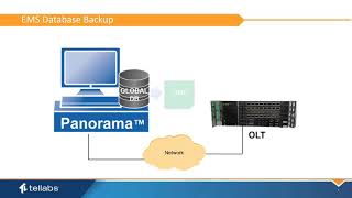 Using the EMS Scheduler in Panorama