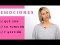 Qué son las emociones | Su función y su gestión con Inteligencia Emocional