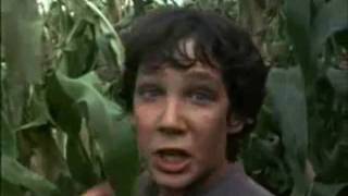 witchcraft.wmv