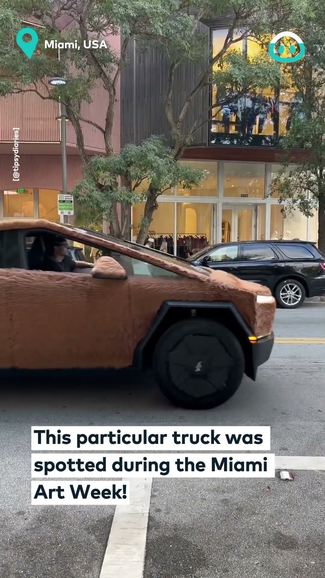 Furry Car || ViralHog