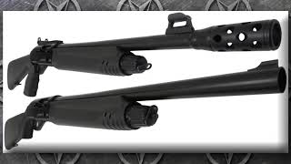 FedArm FX3 & FX4 Semi-Auto Overview