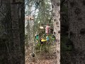 #calgary colourful bird house in woods