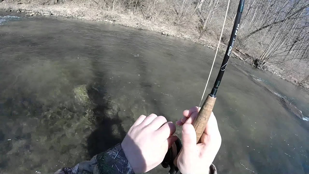 Fly Fishing Spring Creek (Central PA) 03/29/2015 YouTube