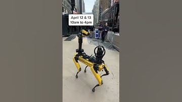 Meet the NYPD Robot Dog 🤖🐶