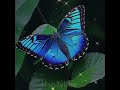 Blue morpho butterfly 🦋 edit! #edit  #bluemorpho