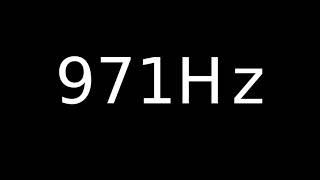 Speaker Sound Test 971Hz