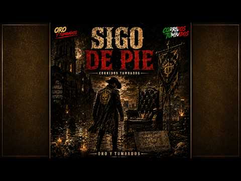 SIGO DE PIE | Visualizer Oficial