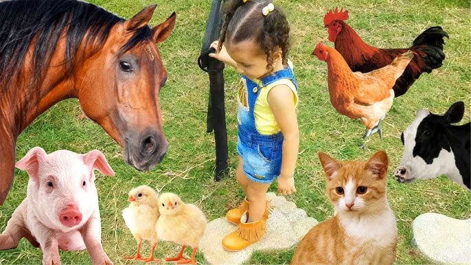 BRINCANDO COM OS ANIMAIS DA FAZENDA | SONS DOS ANIMAIS | BRINCANDO COM BIA  E HENRY