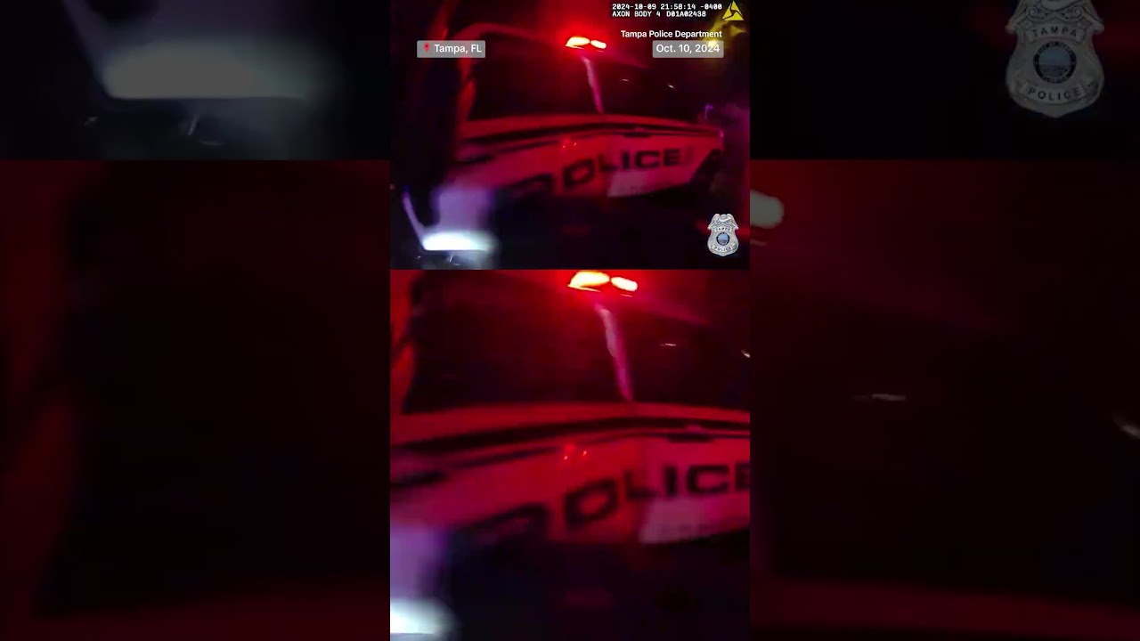 Tampa police evacuated 15 people, including children, from a home hit by a tree during Milton Tampa police evacuated 15 people, including children, from a home hit by a tree during Milton