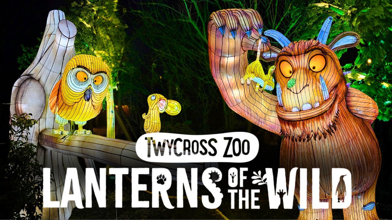Фонарики в дикой природе в зоопарке Твайкросс 🐾 | НОВИНКА сезона 2025/2026