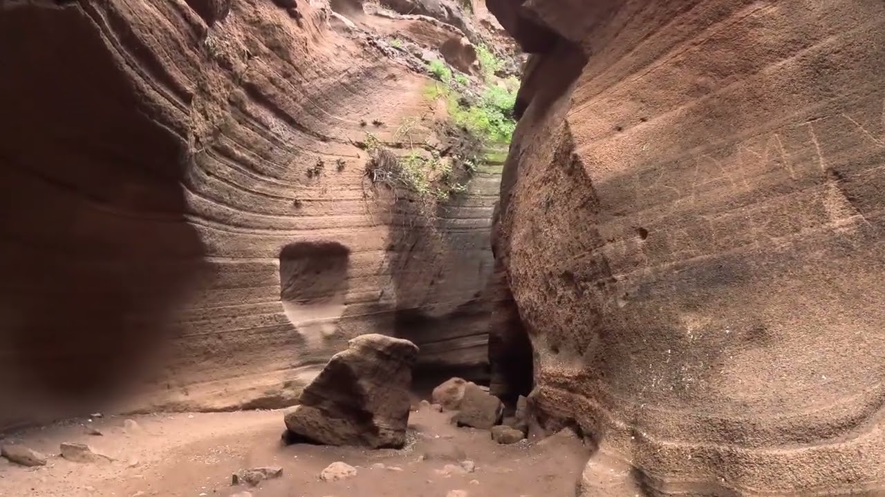 Gran Canaria salvaje 🌴 | Cocodrilo Park y el mágico Barranco de Las Vacas