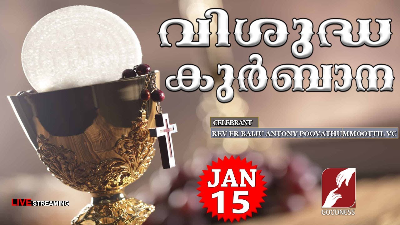 HOLY MASS LIVE @ 6 AM, 15-JAN-2026|FR BAIJU ANTONY VC|MALAYALAM QURBANA|TODAY MASS|GOODNESS TV