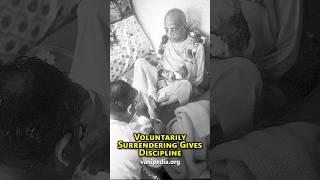 Voluntarily Surrendering Gives Discipline - Prabhupada 0913