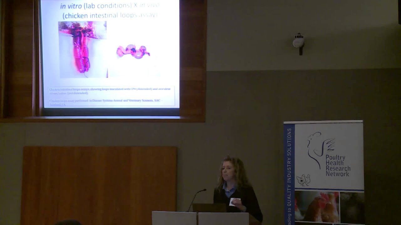 PHRN Research Day 2014 Presentation - Valeria Parreira
