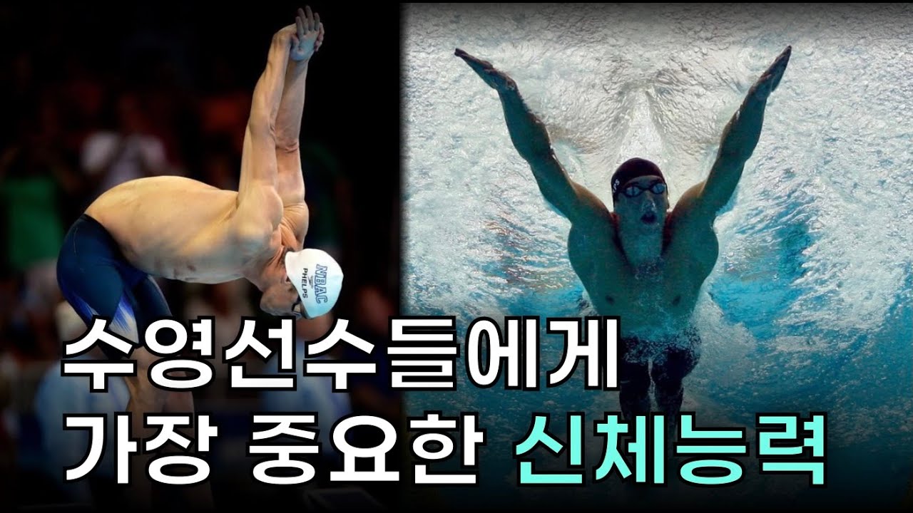 이 능력을 제대로 발달 시키지 않으면, 수영선수의 모든 체력은 무용지물입니다.