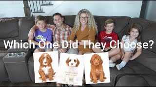 Puppy Picking | Which Puppy Did They Choose and Who is Left! | EmmaXMitchell Litter | MiniMed ALDs