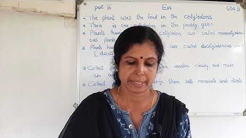 Std4Evs, unit2, The leaf too has to say:last part