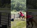 Can You Believe This Horse Was Once Feral??? Meet Spirit Pt.9