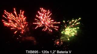 TXB895 120s 1.2 BATERIA V