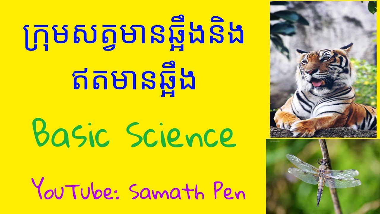 Types of Vertebrate and Invertebrate Animals_ by Samath Pen - YouTube