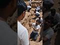FIRST HUMANS?Part -2 😨 #ahorts #facts #viral #ytshorts #like #history #subscribe