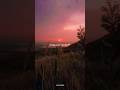 Feelings song❤️‍🩹 Aesthetic lyrics in#trending #youtubeshorts #viralshorts #shortsvideo #shortsfeed