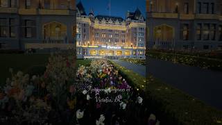 Fairmont Empress Gold Lounge — Is The Food Worth The Splurge? #foodshorts #travel #shorts #spring
