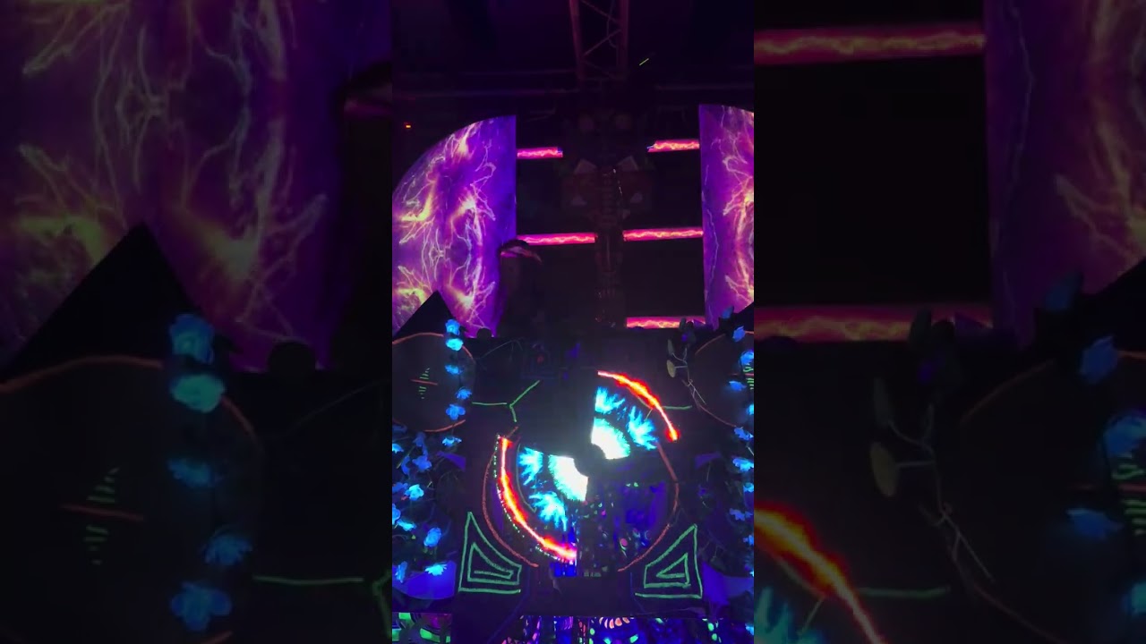 SAVAGE GARDEN  Dark beats and wild vibes at The Dark Art  